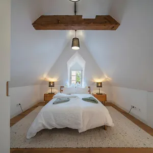  Apartment Altstadtnahes Domblickapartment